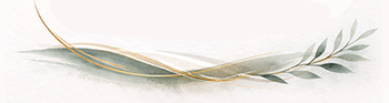dividerb the feather graphic from the logo as a divider